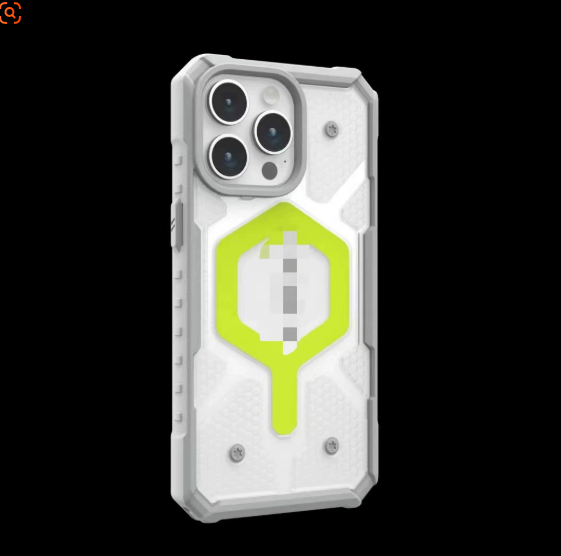 Shock proof case